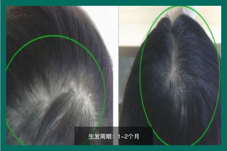 1-2个月 <br />